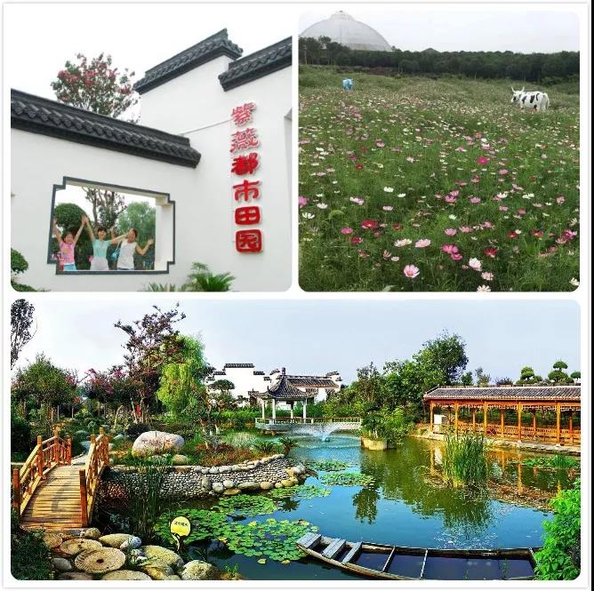 微信圖片_20210728142731.jpg 微信圖片_20210728142731.jpg